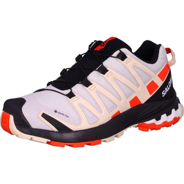 Schuhe XA PRO 3D v8 GTX W LunRoc/Ch - Bild 1