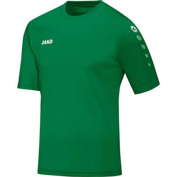 Trikot Team KA K - Bild 1