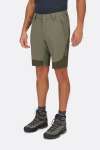 Torque Mountain Shorts