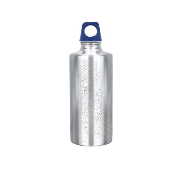 Stainless Bottle 500