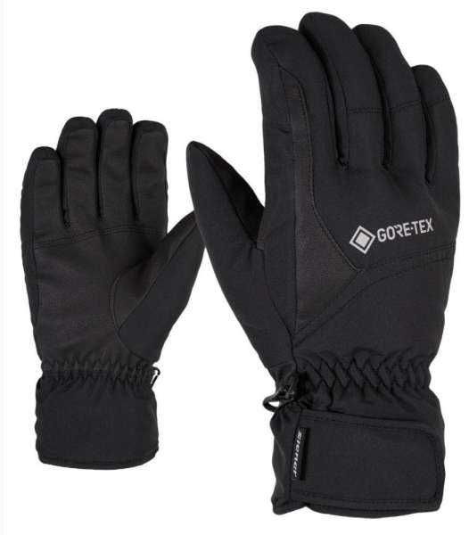 NOS GARWEN GTX glove ski alpine