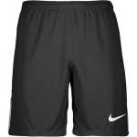 Nike Dri-FIT League 3 Men