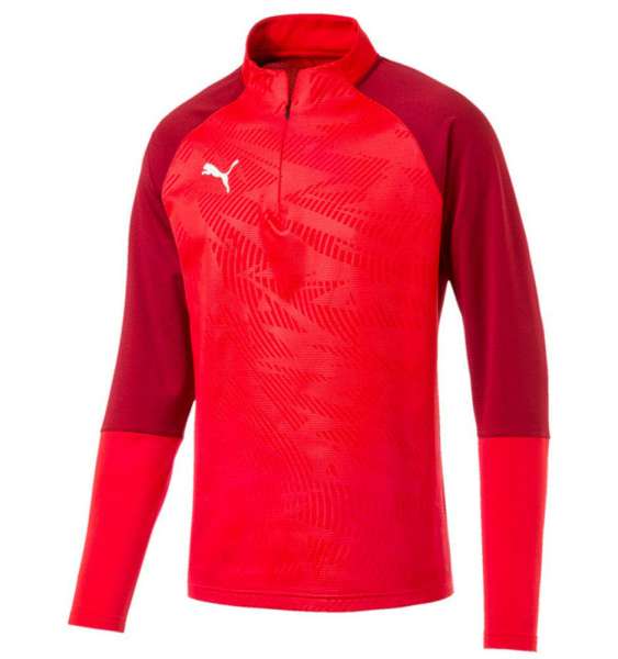 CUP Training 1/4 Zip T Cor